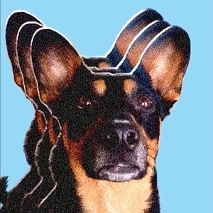 Meet your Posher, Kerri